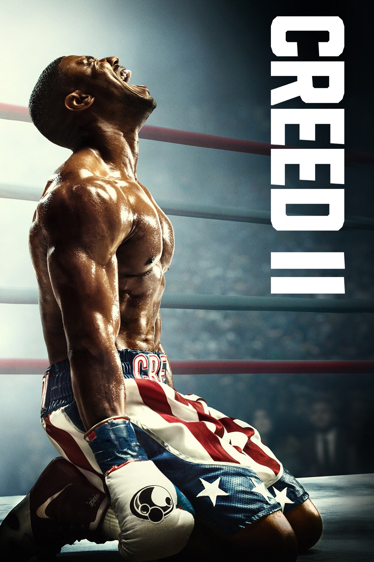Creed II (2018) [286273] (A1708528706) [[Movies]] --Plex--